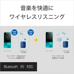 ヨドバシ.com - ソニー SONY NW-S313K B [メモリーオーディオ WALKMAN