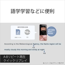ヨドバシ.com - ソニー SONY メモリーオーディオ WALKMAN