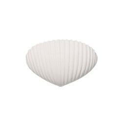 35×50×25mm ドライング オブジェクト grooved ホワイト