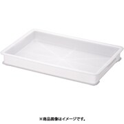 リス 抗菌PP小型パンコンテナー 浅