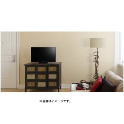 ヨドバシ.com - ソニー SONY KJ-24W450E [BRAVIA(ブラビア) W450E