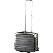 スーツケース TSAロック搭載 ALI-BIZ18 ブラックブラッシュ