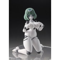 ダイバディプロダクション ポリニアン FLLイアンナ　新品 ダイバディプロダクション ポリニアン FLLイアンナ 価格比較