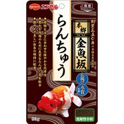 エンゼル本郷金魚坂らんちゅう 80g
