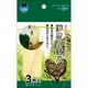 鈴虫の経木 3枚 M-19