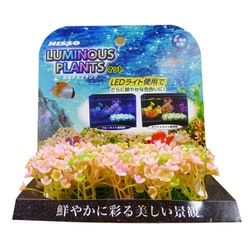 ルミナスプランツ マット 2