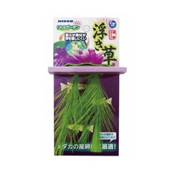 リトルガーデン 浮き草 ピンク