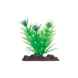アクアティックプランツ SS-5 NAP-304