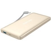 2.1A Lightning内蔵リチウム 10000mAh DLP6100GD