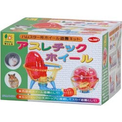 アスレチックホイール