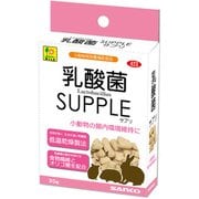 乳酸菌「SUPPLE（サプリ）」 20g [サプリメント]