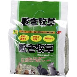 敷き牧草(バミューダグラス)約1kg [小動物用底砂・床材]