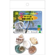 オカヤドカリの宿替え貝殻 S