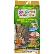 三晃 はじめてのかぶくわ カクレガセット