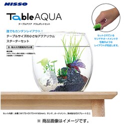 ヨドバシ Com ニッソー Nisso テーブルアクア ドラムポットセット 金魚鉢 通販 全品無料配達