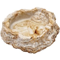 レプティボール2 SF [爬虫類両生類飼育用餌入れ・食器]