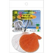 オカヤドカリの貝殻のエサ入れ 2枚入り