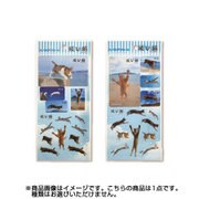 貼ってはがせるシール 飛び猫