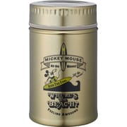 WDCN350WB [Disneyアンティーク缶風ステンレスボトル 350ml ビーチ]