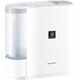 気化式加湿機 パーソナルタイプ プラズマクラスター搭載 木造和室5畳/プレハブ洋室8畳まで 290mL/h ホワイト系 HV-G30-W
