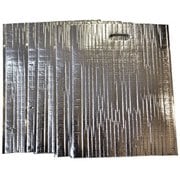 TS-39 [ミラクルパック（取っ手） L 5枚入]