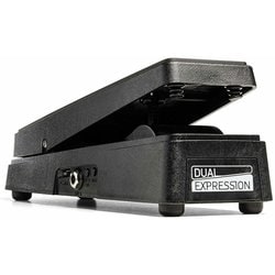 エフェクターアクセサリー DUAL EXPRESSION PEDAL