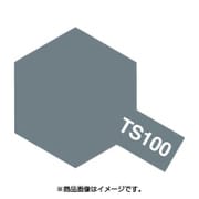 TS-100 [タミヤカラー・スプレー No.100 ブライトガンメタル セミグロス]
