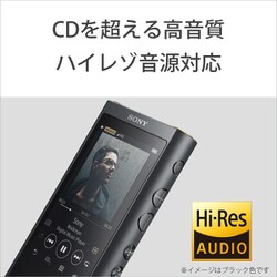 ヨドバシ.com - ソニー SONY NW-ZX300 B [ポータブルオーディオ 