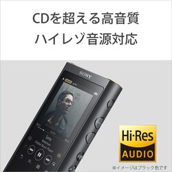 ヨドバシ.com - ソニー SONY NW-ZX300 B [ポータブルオーディオ