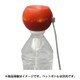 ペットボトル加湿器 オーブ M7113T