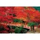 23-597 [ジグソーパズル 安芸の宮島 紅葉谷公園-広島 2016ピース]