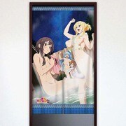 この素晴らしい世界に祝福を！2 のれん アクア&めぐみん&ダクネス&ウィズ [横幅約85×高さ約150cm]