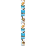 ごちそうタイム ポケットパック 鶏むね肉と野菜のかつおだしジュレ [犬用 ウェットフード 100g おやつ]
