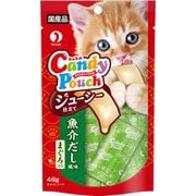 キャンディーパウチ ジューシー仕立て 魚介だし風味 まぐろ入り 48g