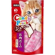 キャンディーパウチ ジューシー仕立てお肉出汁風味 48g
