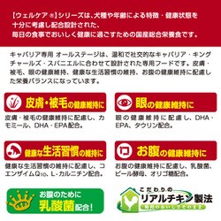 ヨドバシ.com - イースター ウェルケア キャバリア専用オールステージ 