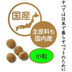 ヨドバシ Com ペットライン Jpスタイル ジェーピースタイル 和の究み 小粒 11歳から 4 2kg ドッグフード 総合栄養食 ドライタイプ 通販 全品無料配達 ヨドバシ Com ペットライン Jpスタイル ジェーピースタイル 和の究み 小粒 11歳から 4 2kg ドッグフード 総合栄養食 ドライタイプ 通販 全品無料配達