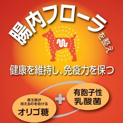 ヨドバシ Com ペットライン Jpスタイル ジェーピースタイル 和の究み 小粒 11歳から 4 2kg ドッグフード 総合栄養食 ドライタイプ 通販 全品無料配達 ヨドバシ Com ペットライン Jpスタイル ジェーピースタイル 和の究み 小粒 11歳から 4 2kg ドッグフード 総合栄養食 ドライタイプ 通販 全品無料配達