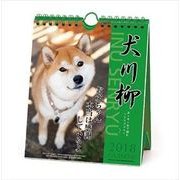 CL-353 [カレンダー 犬川柳 週めくり]