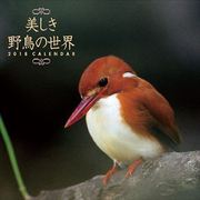 CL-355 [カレンダー 美しき野鳥の世界]