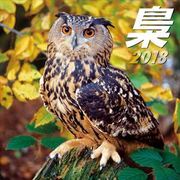 CL-361 [カレンダー 梟 ～ふくろう～]