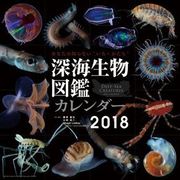 CL-379 [カレンダー 深海生物図鑑]
