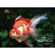 CL-381 [カレンダー GOLD FISH]