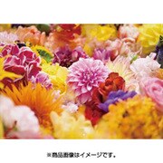 CL-440 [カレンダー M / mika ninagawa]