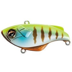 バンタム ラトリンサバイブ ZV-107P 132 チャートギル