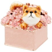 JewelryBox 柴犬 ふくとこてつ 四季シリーズ 柴犬のふく 茶 EX510-1