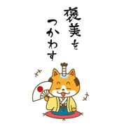 ぽち袋 褒美をつかわす 5枚 AP-904