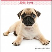 2018年 ミニカレンダー パグ [壁掛けカレンダー]