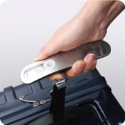 LUGGAGE SCALE SNBR-002-SV