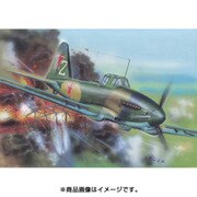 FLX72035 [1/72 エアクラフトシリーズ No.72035 イリューシン Il-10 1944年型 ソ連]